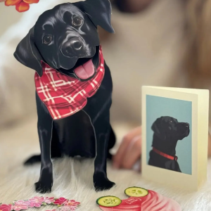 Black Lab Freshcut Pet Card