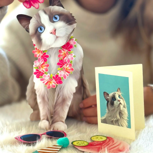 Ragdoll Cat Freshcut Pet Card