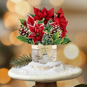 Mini Birch Poinsettia Freshcut Flower Card