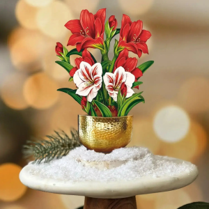 Mini Scarlet Amaryllis Freshcut Flower Card