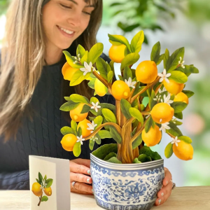 Lemon Blossom Tree Freshcut Flower card
